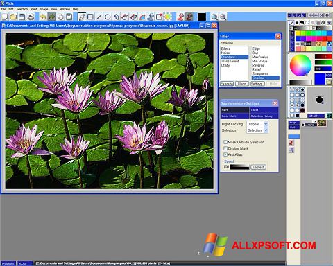 Skärmdump Pixia för Windows XP