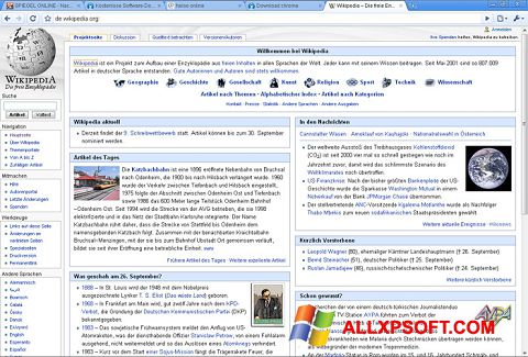 Skärmdump SRWare Iron för Windows XP