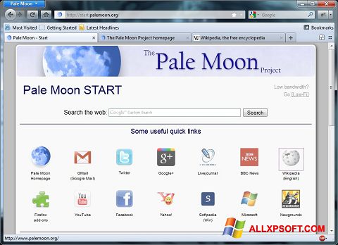 Skärmdump Pale Moon för Windows XP