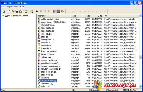 Skärmdump Teleport Pro för Windows XP
