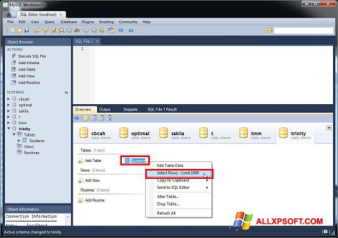 Skärmdump MySQL Workbench för Windows XP