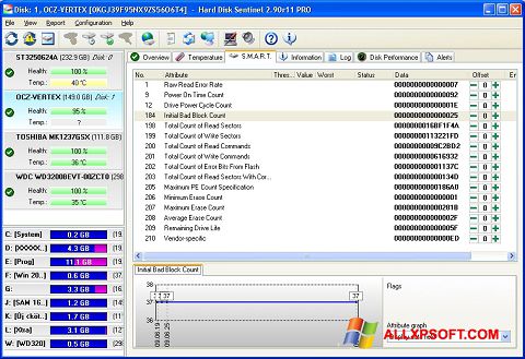 Skärmdump Hard Disk Sentinel för Windows XP
