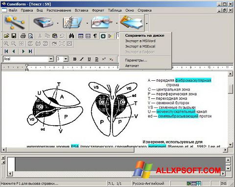 Skärmdump CuneiForm för Windows XP