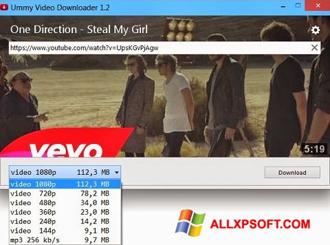 Skärmdump Ummy Video Downloader för Windows XP