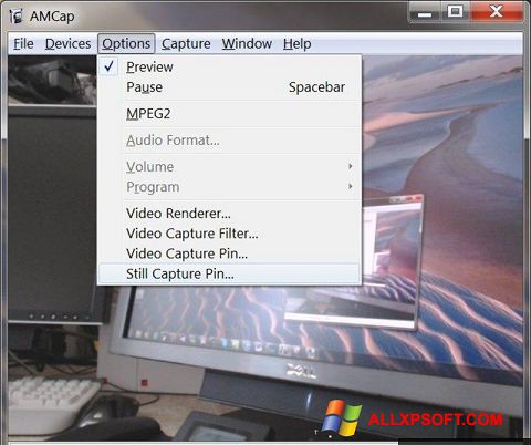 Skärmdump AMCap för Windows XP