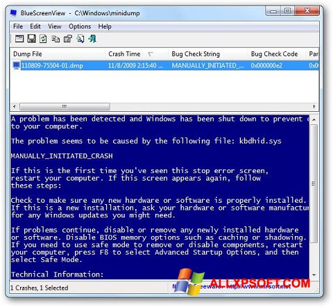 Skärmdump BlueScreenView för Windows XP