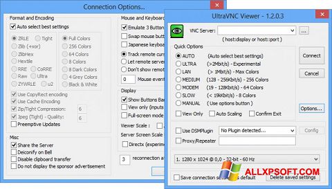 Skärmdump UltraVNC för Windows XP