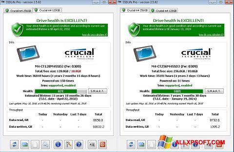 Skärmdump SSDLife för Windows XP