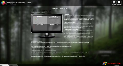 Skärmdump Bad Crystal för Windows XP
