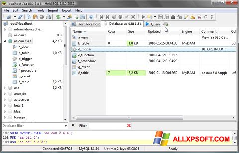 Skärmdump HeidiSQL för Windows XP