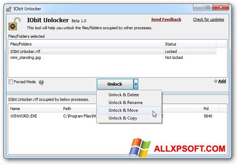 Skärmdump IObit Unlocker för Windows XP