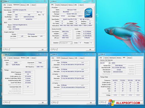 Skärmdump CPU-Z för Windows XP