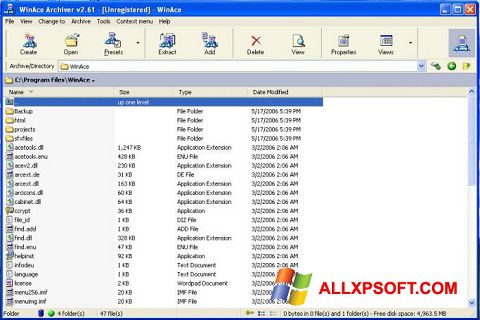 Skärmdump WinAce för Windows XP