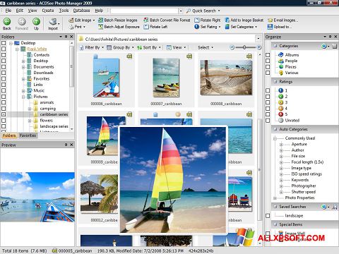 Skärmdump ACDSee Photo Manager för Windows XP