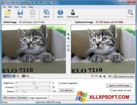 Skärmdump RIOT för Windows XP