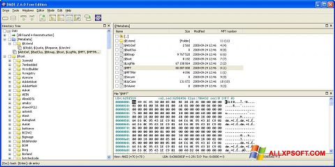 Skärmdump DMDE för Windows XP
