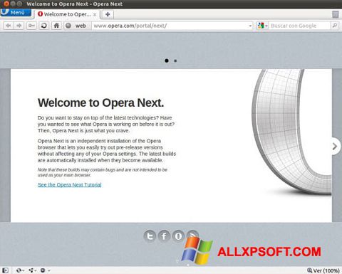 Skärmdump Opera Developer för Windows XP